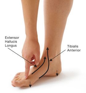 9 Poses to Prevent Bunions & Relieve Bunion Pain | Yoga International