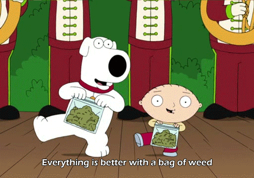 Brian Griffin was named “Stoner of the Year” by High Times in 2009. | 31 Awesome Facts You May Not Know About “Family Guy”