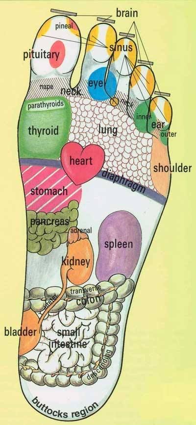 Did you know that different parts of your body correlate to the areas on the bottom of your feet? Got sensitivity/pain on the