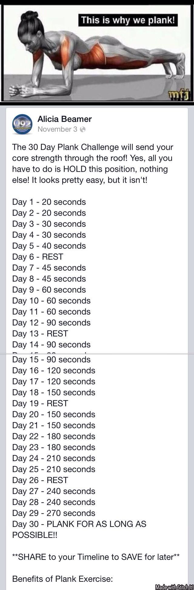 PLANK CHALLENGE- Looks easy, lets see how this works out