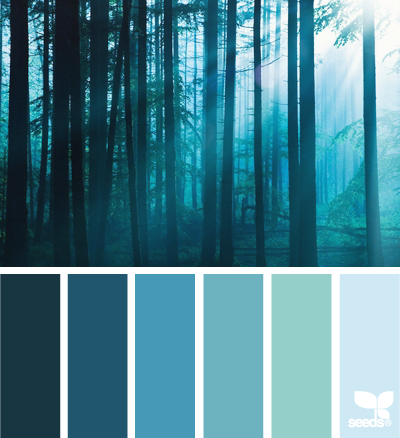 forest blues