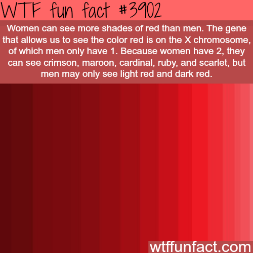 Why women see more shades of red – WTF fun facts