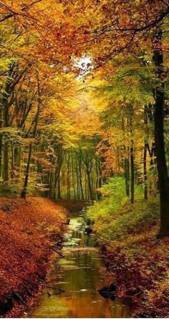 10 amazing autumn photographs – beautiful time of the year