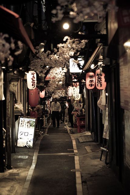 Back alley, Japan