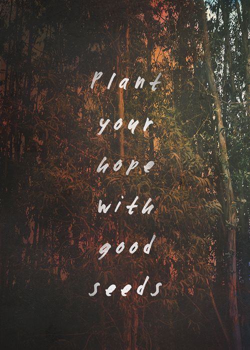 But plant your hope with good seeds  Dont cover yourself with thistle and weeds.   – Mumford & Sons / Thistle & Weeds