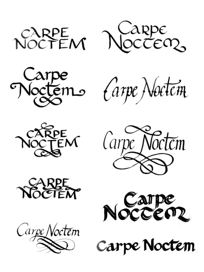Carpe Noctem – “Seize the Night”. Not in any of these fonts, I want it tracing around the angel wing in small lettering :)