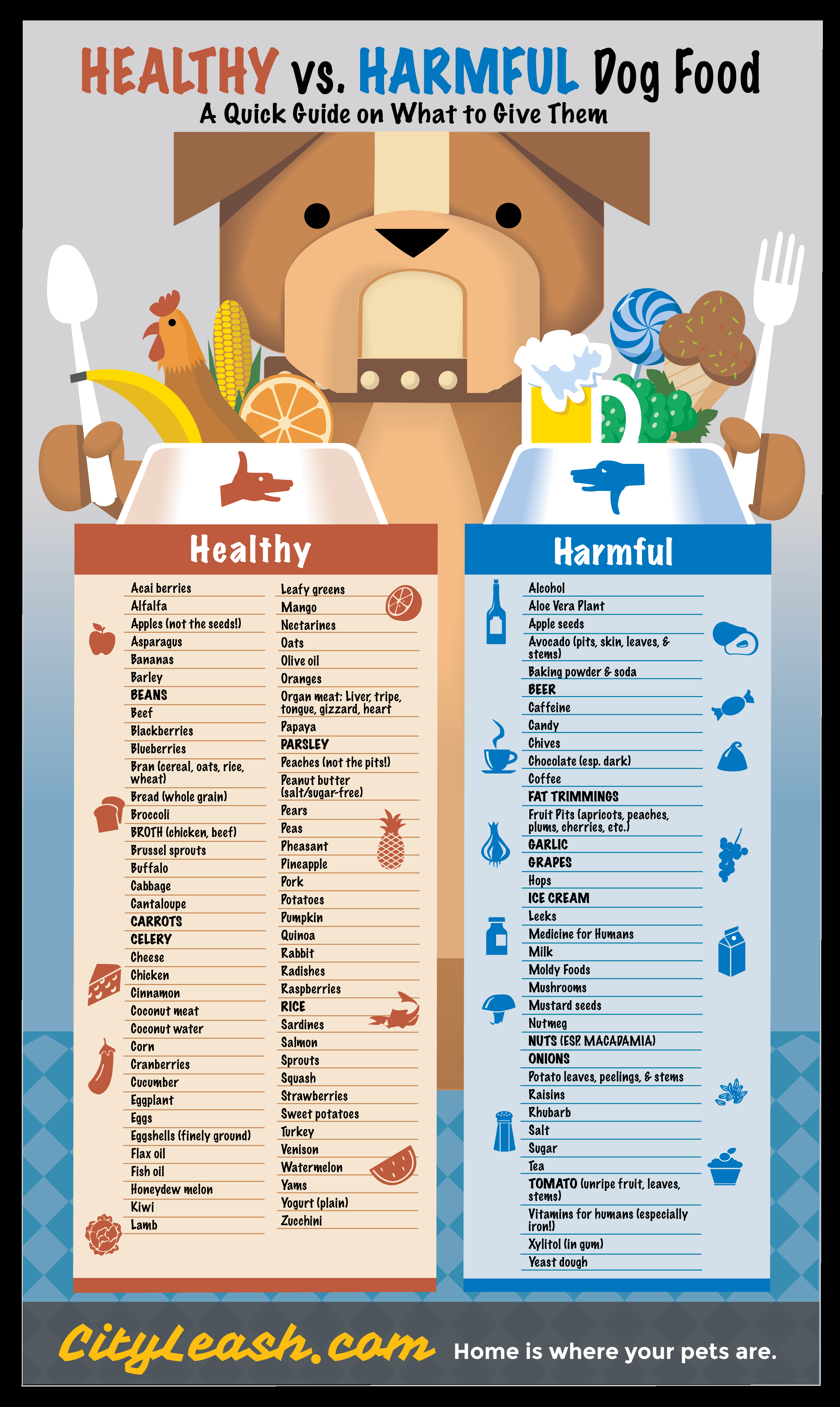 “Healthy vs Harmful Food for your Dogs” infographic by @CityLeash. *** A note about Human Medications … Yes, your veterinarian