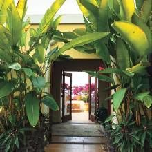 Mexican Villa has tropical plant-filled entry courtyard with a clear view of the foyer and patio beyond.