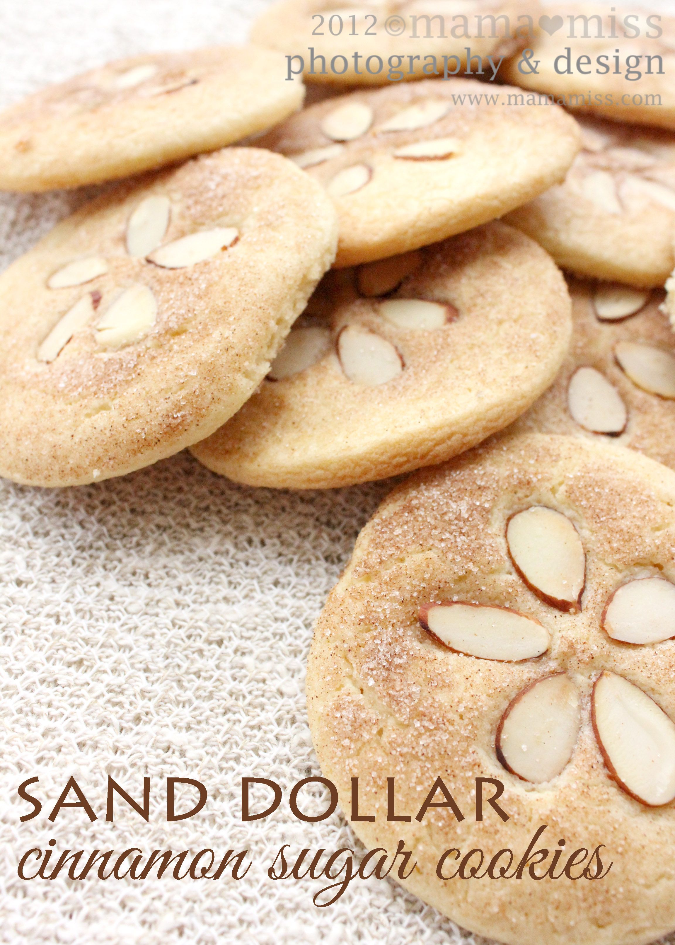 Sand Dollar Cinnamon Sugar Cookies {mamamiss} 2012 @Darian Lu Lu Lu Ashley I think youd make these out of snickerdoodles.