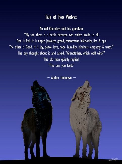 Two wolves prompt -Fear or Love Who are you feeding? What does the Good wolf need to thrive? How can you “starve” the fear wolf?