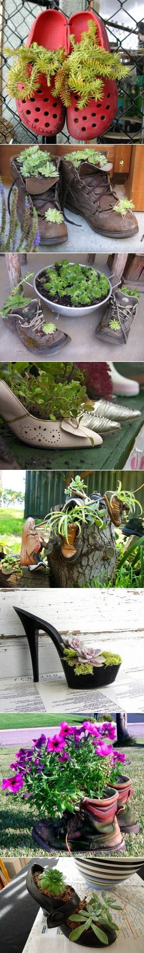 Use Old Shoes As Planters