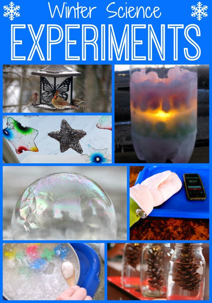 20+ winter science experiments for kids. Hands-on science about snow, ice, animals, nature, the holidays and more.