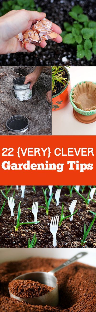 22 Insanely genius gardening tips and tricks for your yard and garden. Fun Tips, tricks and tutorials.