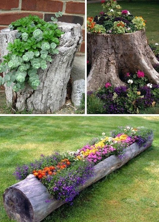 24 Creative Garden Container Ideas | Use tree stumps and logs as planters! This would be a great use for the old railroad tie in