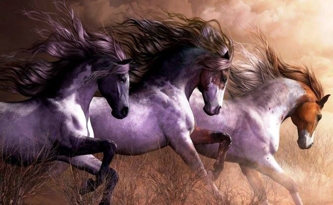 Awesome Horses !!