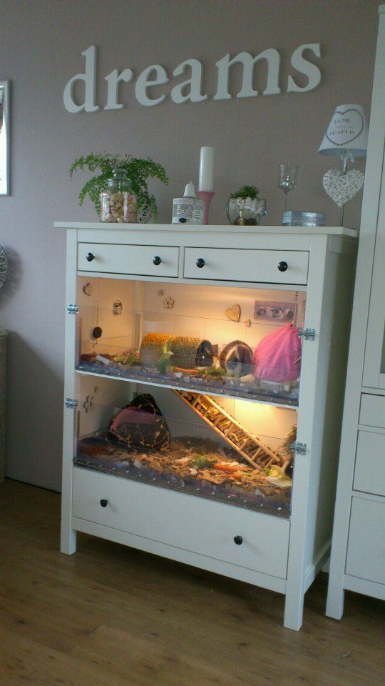 Beautiful home made guineapig cage – the chest of drawers is from ikea, hemnes range – 6 drawer chest of drawers