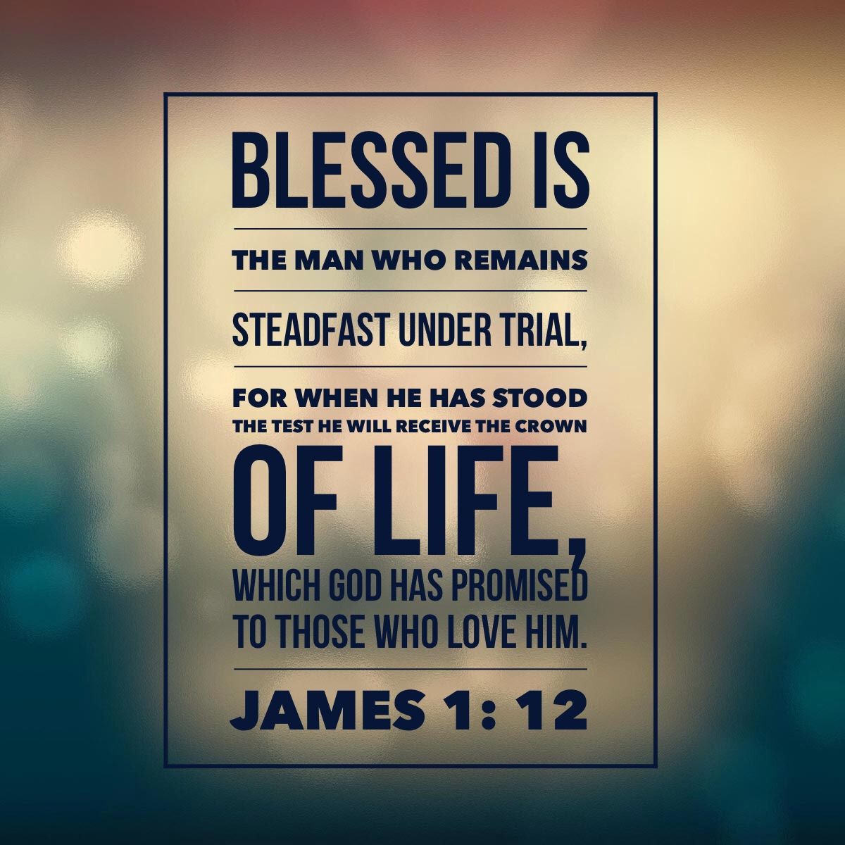 Blessed is…steadfast under trial… James 1:12 RachelWojo.com
