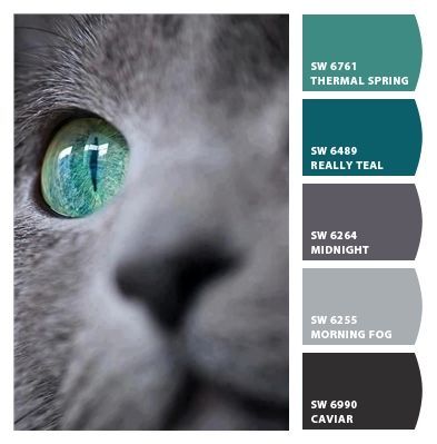 Cats Eye beautiful combo to incorporate with gray LOVE IT!!!!!!!!!!!