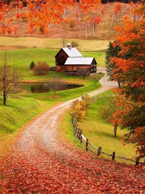 Colors Of Autumn, New England it really is that beautiful!