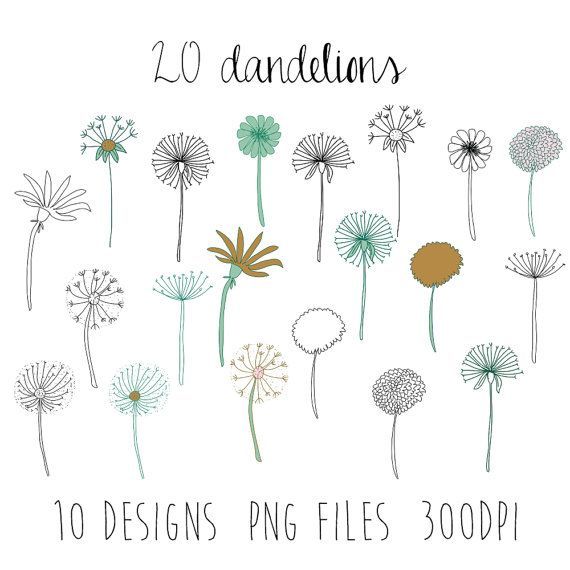 dandelions clipart : flower clipart / doodle clipart / hand sketched clipart / 10 design images / 20 pieces / spring clipart / png