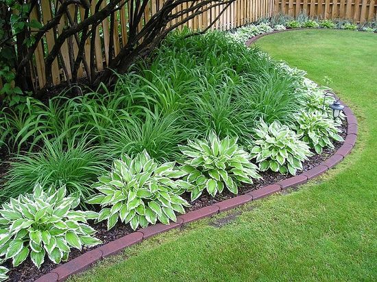 Daylilies and hostas! two hard to kill or in other words, easy to grow plants that make this bed look marvelous! And both plants