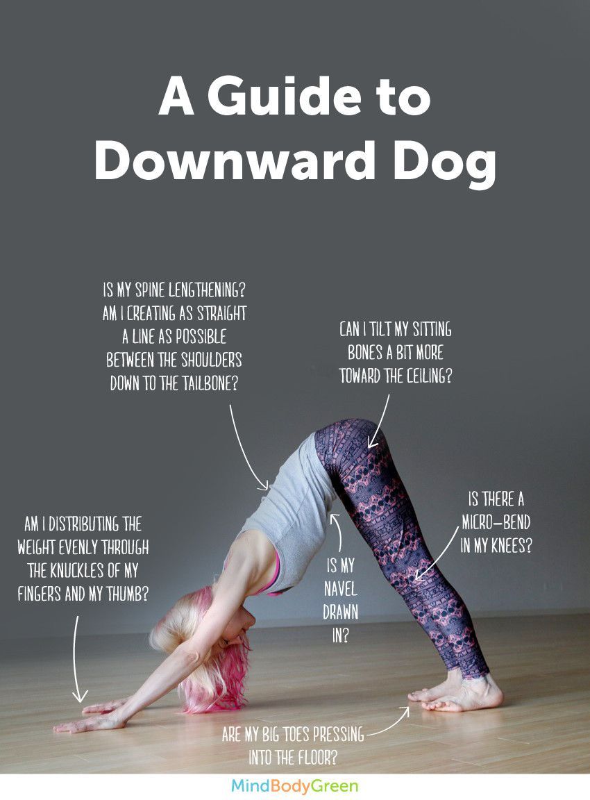 Downward Dog Pose #YogaPoses