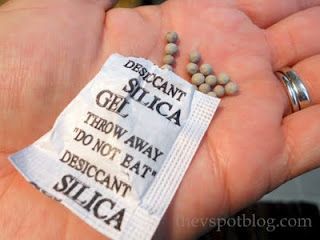 “drop a silica gel packet (they come in shoe boxes) into a carved pumpkin and it prevents it from becoming mushy and moldy.”  Nuh