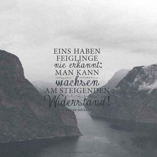 Eins haben Feiglinge nie erkannt: man kann wachsen am steigenden Widerstand! – Xavier Naidoo ~