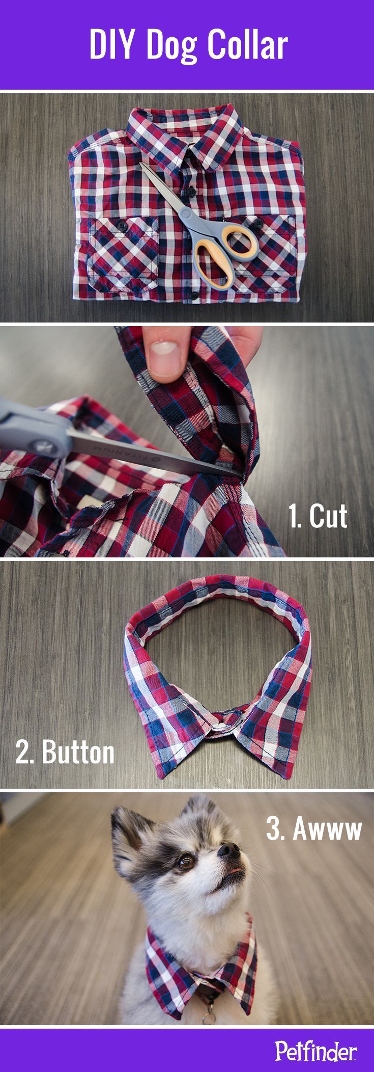 Fun DIY dog collar idea: trim the collar off a child-sized button-down shirt to make a cute collar for your pup. Its a great way