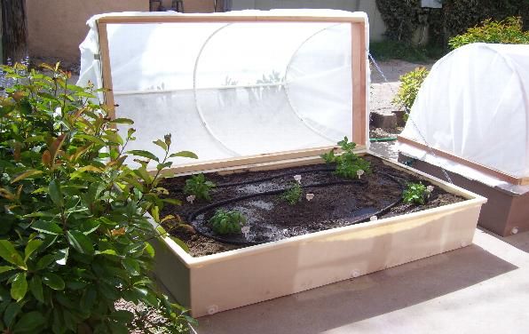 Cold Frame Gardening