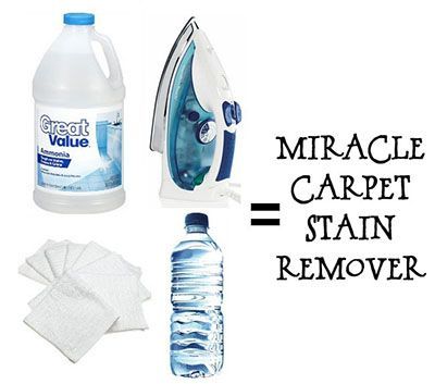 Homemade Carpet Stain RemoverNO Scrubbing Needed! | One Good Thing by Jillee
