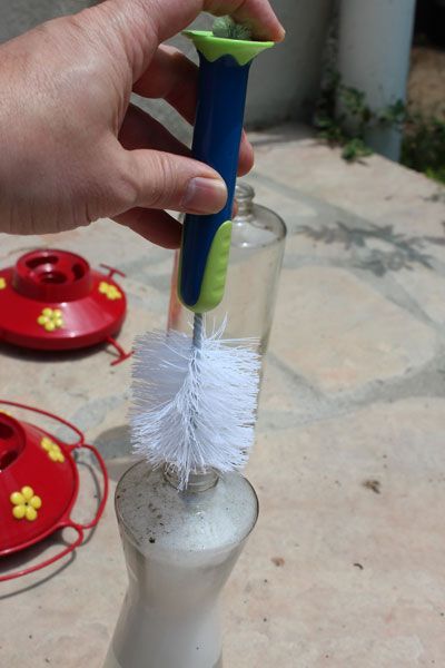How to Clean Hummingbird Feeders