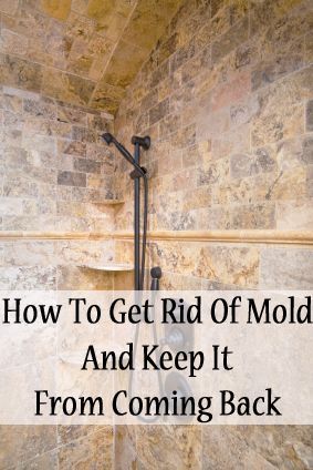 How to get rid of mold and keep it from coming back,
