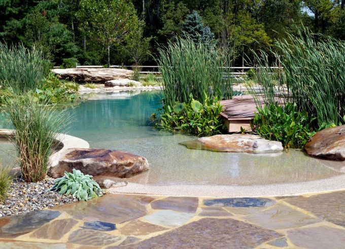 Natural swimming pool. Uses a natural water filtration system instead of chlorine. Love the ambience it gives– useful for the