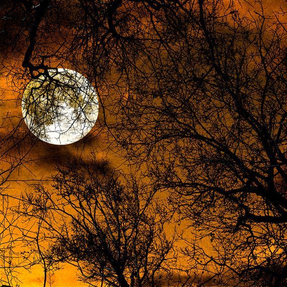 Nature photo, supermoon, moon photography, full moon, harvest moon, autumn, pumpkin orange, surreal, night sky, spooky