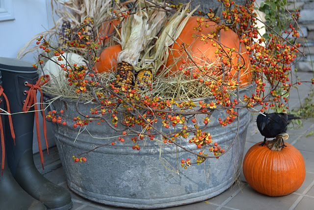 Old Wash Tub filled with autumn goodies…Indian corn, bittersweet, & pumpkins…