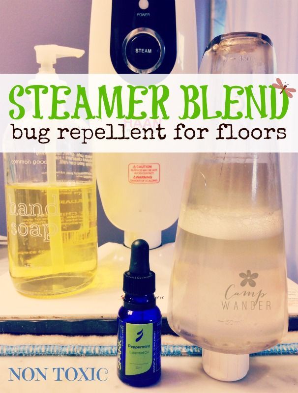 Peppermint Steamer Blend for Floors {repel ants, spiders and mice} Smells Incredible!