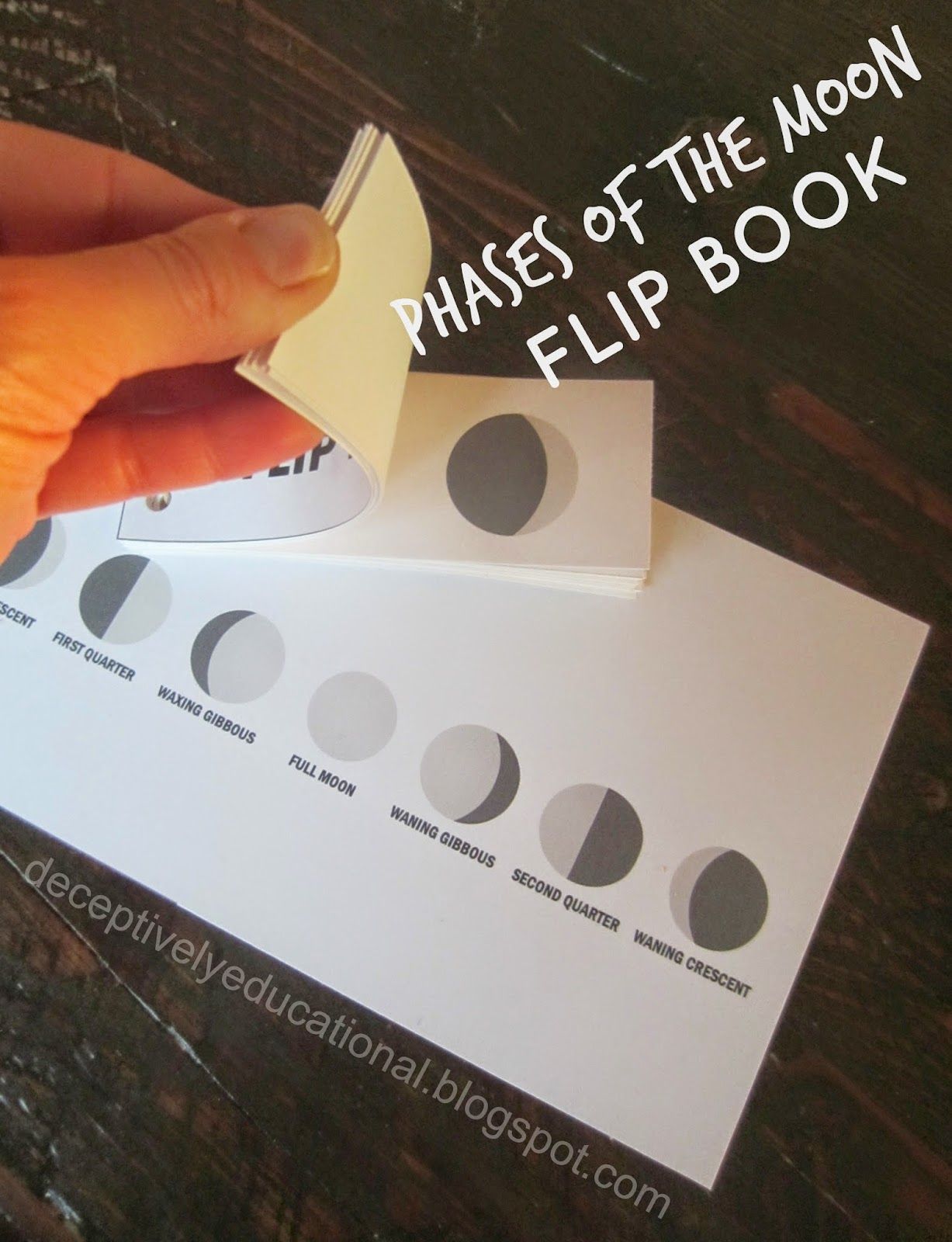 Relentlessly Fun, Deceptively Educational: Phases of the Moon Flip Book