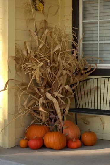 Sukkot:  Hide poles of the Sukkah with beautiful corn husks.  This adds a lot of visual height!  For more Sukkot ideas, follow