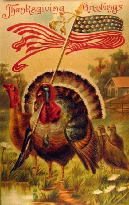 Thanksgiving Greetings!  Love the turkey waving the American flag!  :)