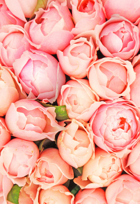 This beautiful selection of peonies, just shows how you can mix multiple hues of pink. #newlook