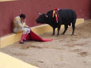 This photo marks the end of Matador Torero Alvaro Muneras career. He collapsed in remorse mid-fight when he realized he was having