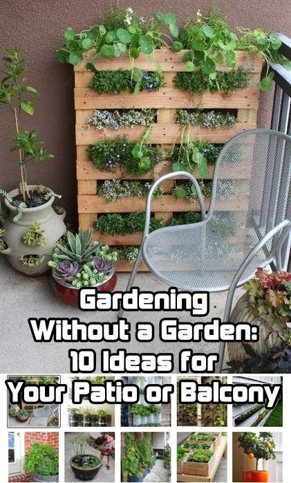 10 Gardening Ideas for Your Patio or Balcony  These are great ideas! #conpicoliving