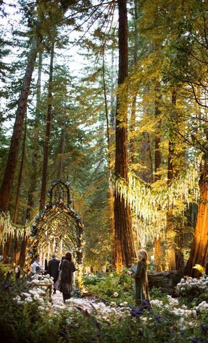 10 Insane Facts About Sean Parkers Enchanted Forest Wedding Sweet Jeebus Im in love with this place!