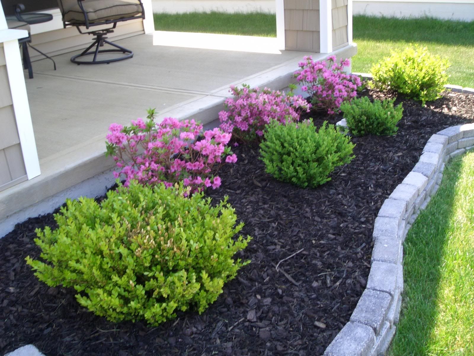 Are you trying to find the perfect landscaping plants?  {tips on choosing}