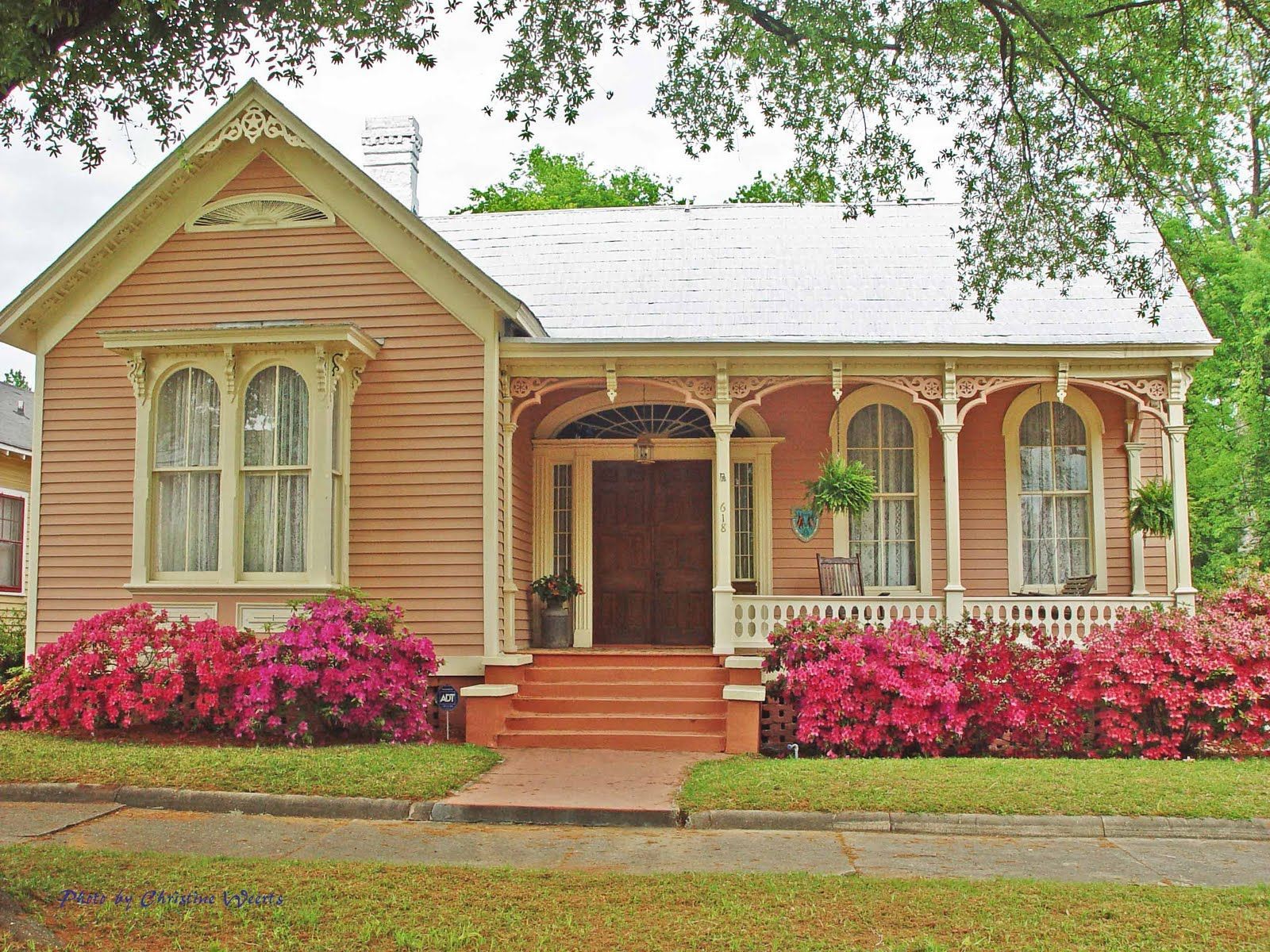 azaleas – Victorian house