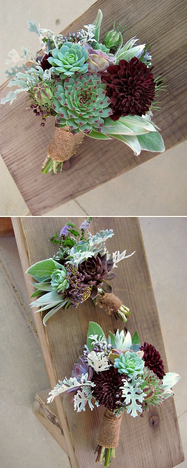 bride s purple  ear, dusty miller, leucadendron, nigella,meta