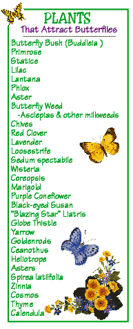 Bring in the Butterflies • Tips, Ideas and Tutorials! Including, from kids growing strong, this great list on plants that