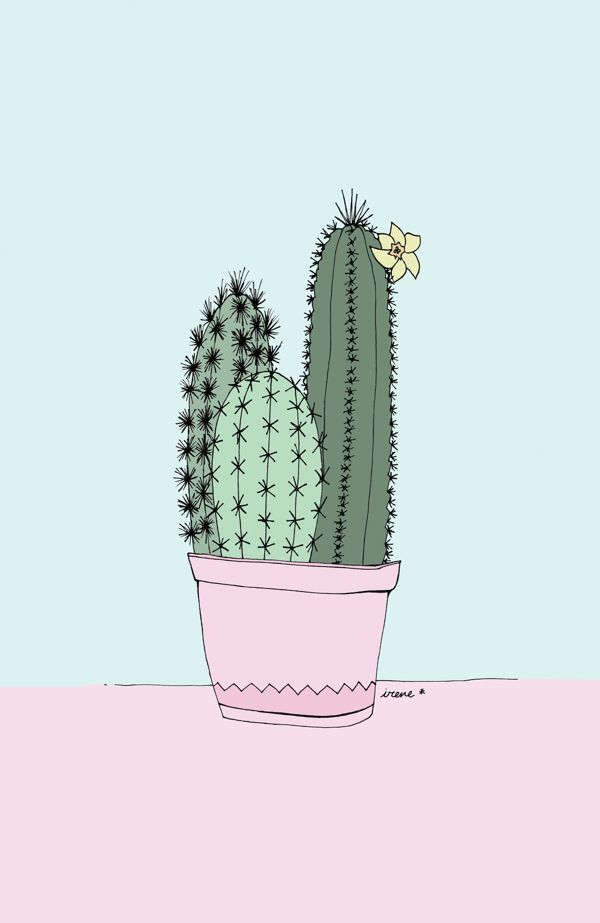 Cactus illustrations by Irene Cabrera Lorenzo. Theres something beautifully feminine about the style.