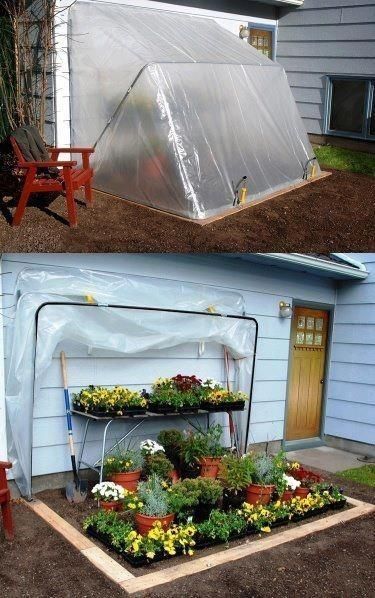 Easy DIY green house for your plants!  Pin this to remember for the next growing season!